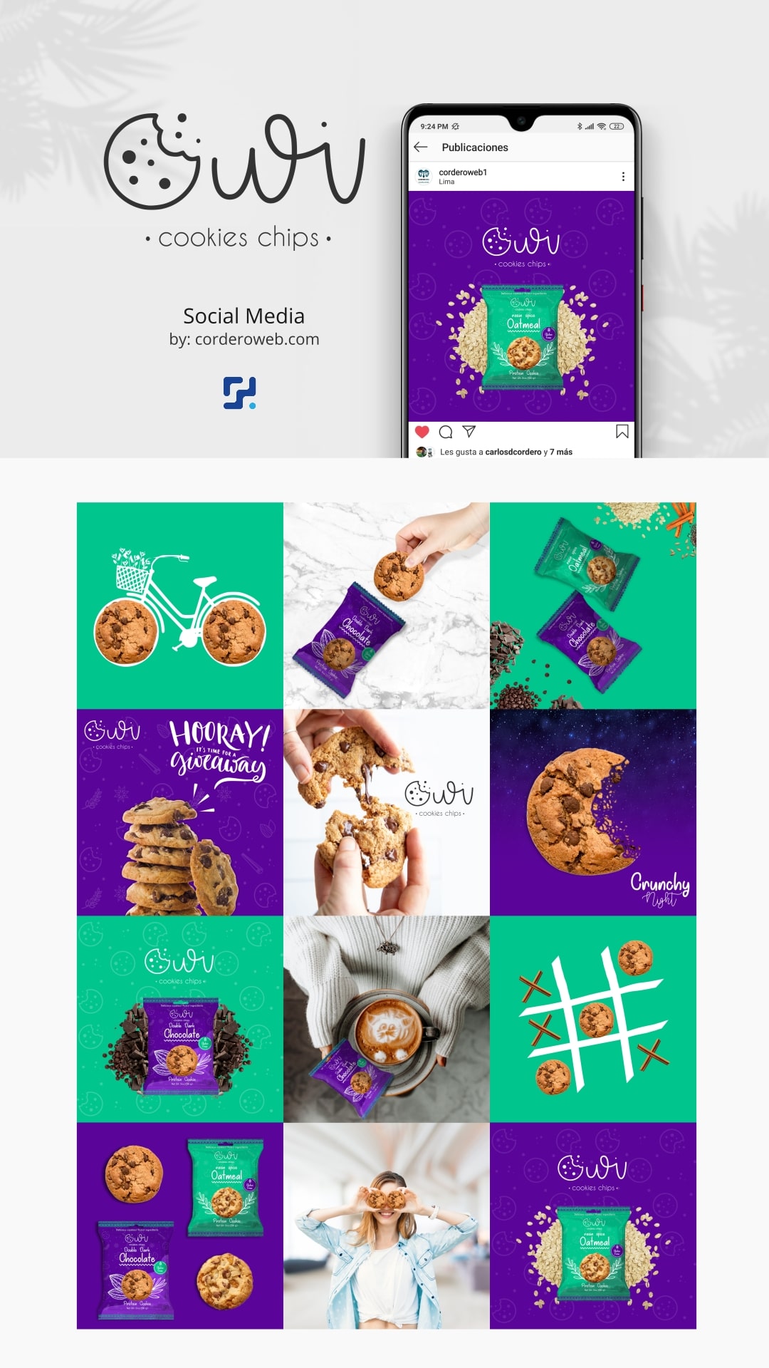 Owi Cookies Chips