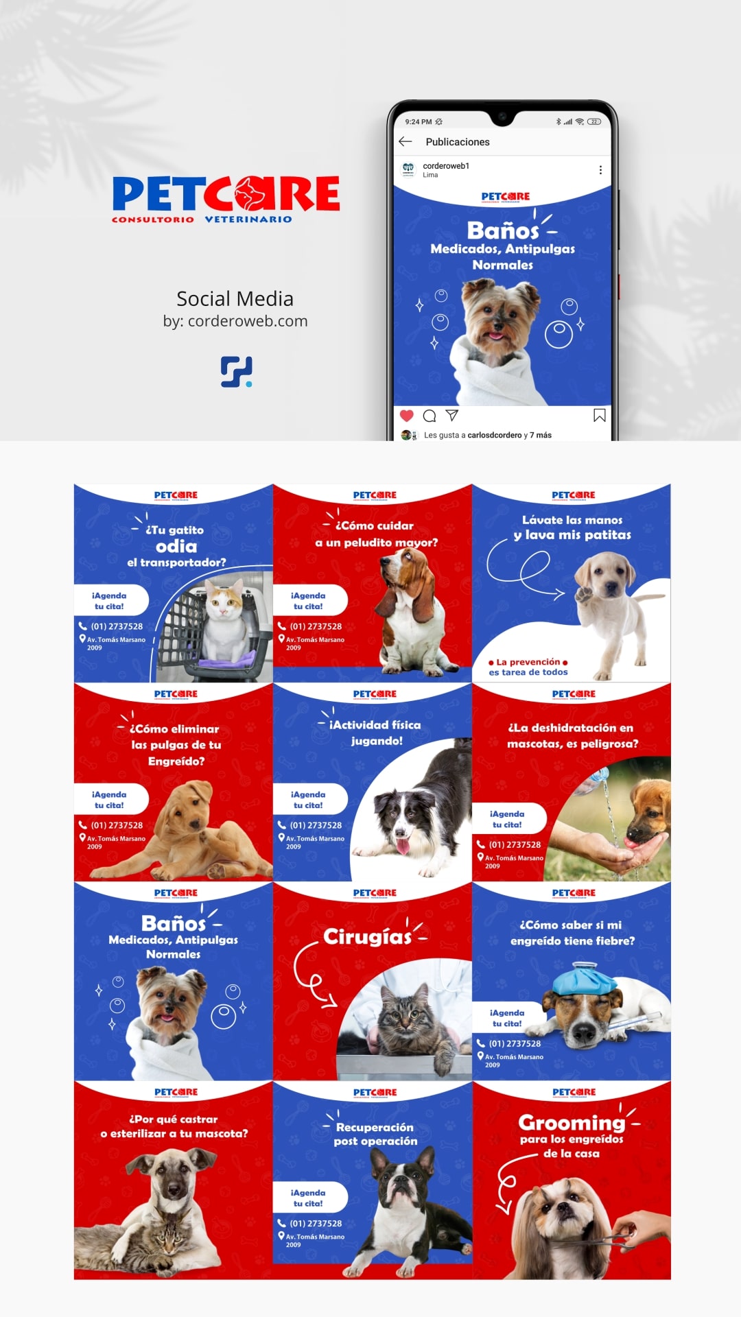 PetCare